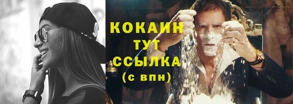 твердый Михайлов