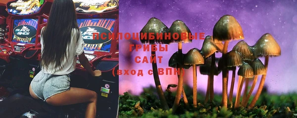 амф Медногорск