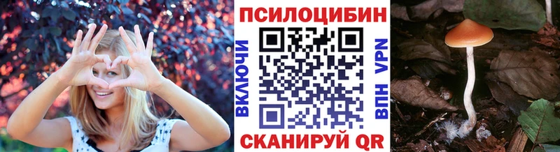 Галлюциногенные грибы мицелий  купить   Мамоново 