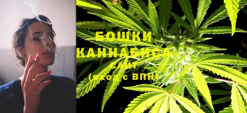 Конопля White Widow  где можно купить   гидра как зайти  Мамоново 